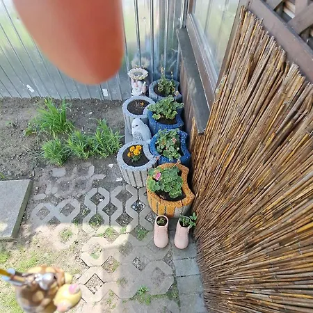 Ferienhaus Zur Schildkrote Tatil Evi *